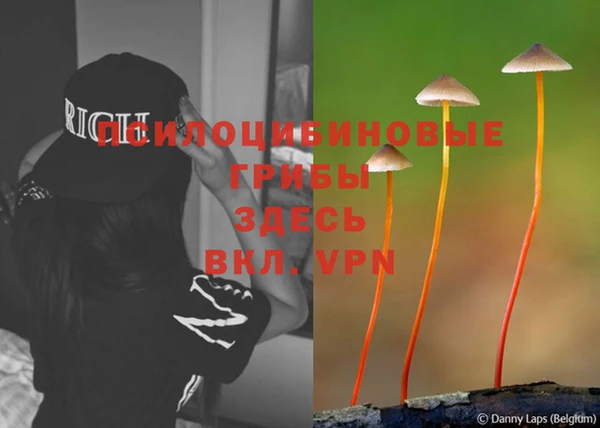 таблы Строитель