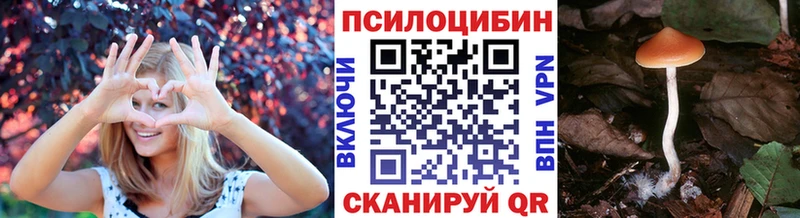 Купить  Красноярск  Псилоцибиновые грибы Magic Shrooms 